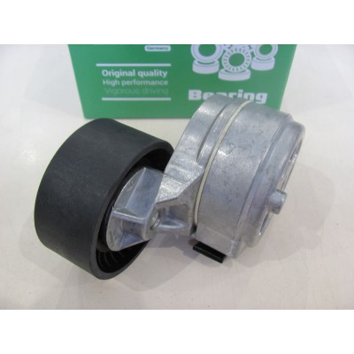 Натяжной механизм Fiat Doblo 1.9D/JTD (01-09) ZILBERMANN 06-762