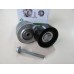 Натяжной механизм Fiat Doblo 1.9D/JTD (01-09) INA 534 0101 20