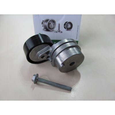 Натяжной механизм Fiat Doblo 1.9D/JTD (01-09) INA 534 0101 20