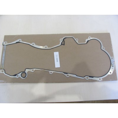 Комплект цепи ГРМ Fiat Doblo 1.3JTD 16V (04-) (к-кт цепи+прокладка крышки) INA 559 0028 30