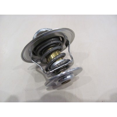 Термостат VW Caddy / T4 / T5 1.9D/SDI/TDI OE VAG 044121113