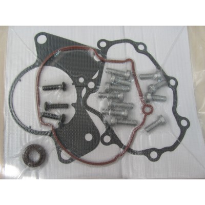 Ремкомплект тандемного насоса VW T5 2.5TDI ENGITECH ENT410004